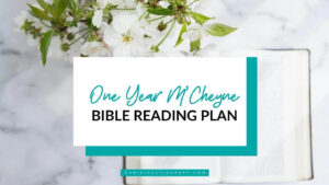 m cheyne bible reading plan one year daniel fast journey