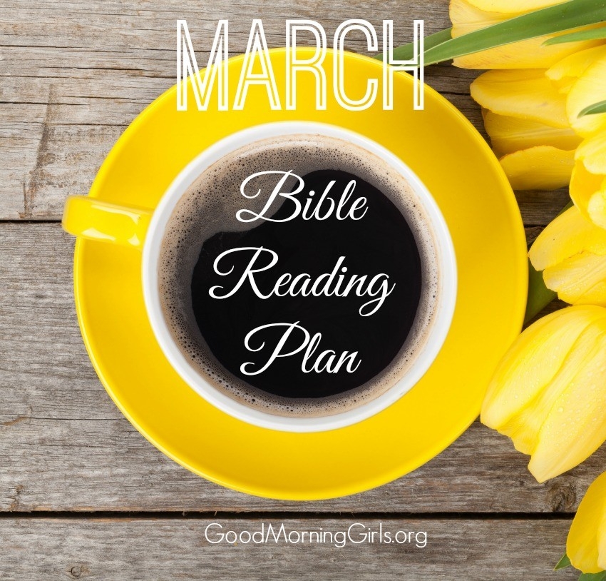 March Bible Reading Plan Intro To Matthew Women Living Well