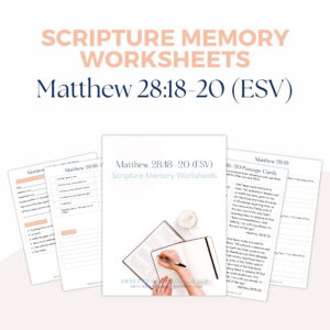 Matthew Bible Study Etsy