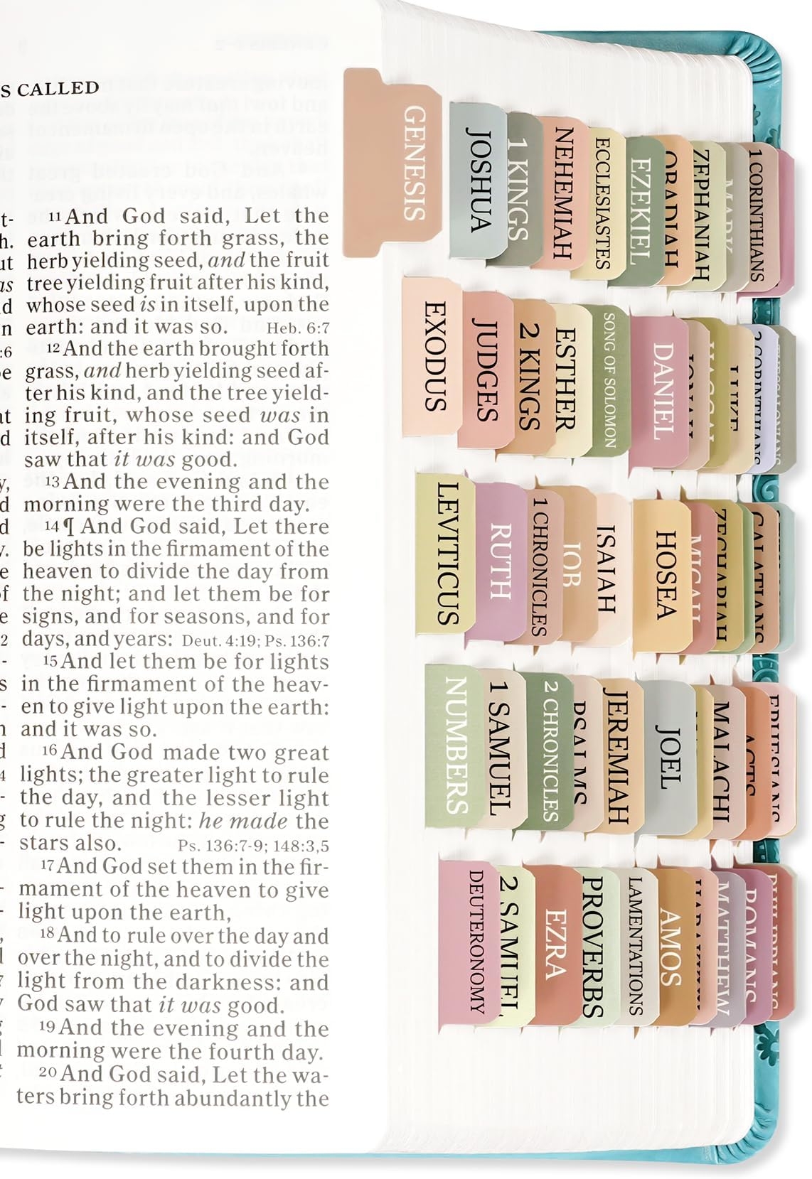 Mini Bible Tabs Laminated Bible Tabs For Study Bible Prefdo Butterfly Design 66 Bible Index Tabs 34 Blank Tabs Large Print Bible Book Stickers Old New Testament Bible With Tabs And Notes