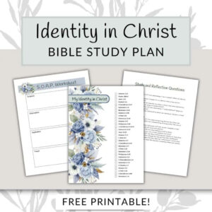 My Identity In Christ Bible Reading Plan Free Printable Ladies Drawing Nigh