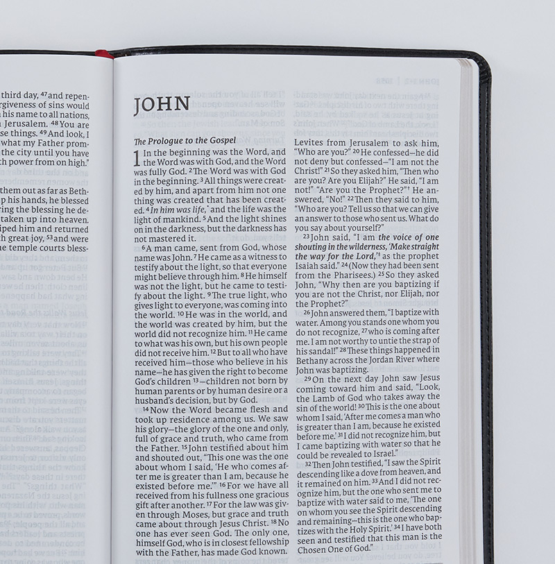 NET Thinline Bible Large Print Thomas Nelson Bibles