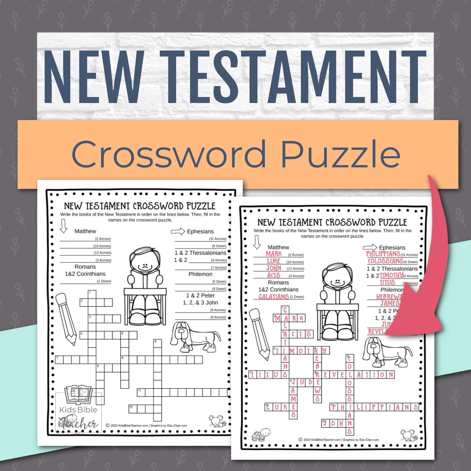 New Testament Bible Kid Printable