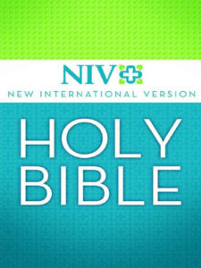 Niv Bible Pdf Etsy