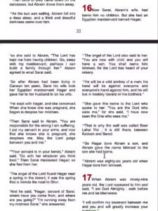 NIV Holy Bible Digital PDF Download