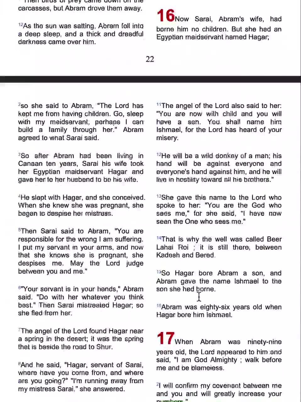 Printable NIV Bible PDF