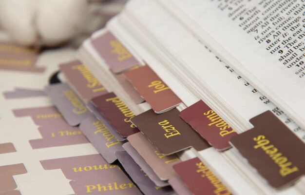 Nkjv Study Bible Bible Tabs Large Print Laminated Bible Tabs For Women And Men Easy To Read Bible Book Tabs For Study Bible Index Tabs For Old And New Testament Catholic Bible