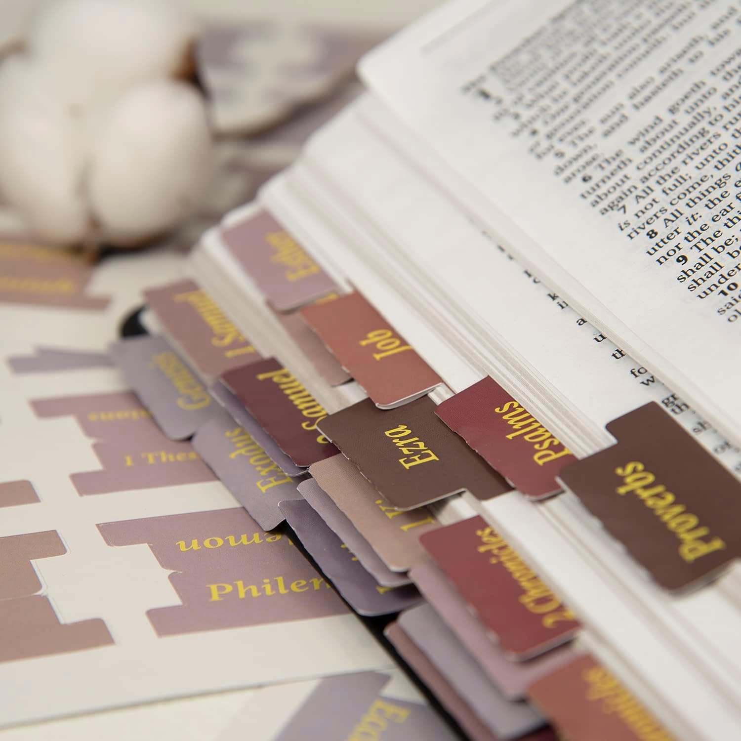 Nkjv Study Bible Bible Tabs Large Print Laminated Bible Tabs For Women And Men Easy To Read Bible Book Tabs For Study Bible Index Tabs For Old And New Testament Catholic Bible
