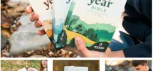 NLT One Year Chronological Study Bible Softcover 9781496456861 Christianbook