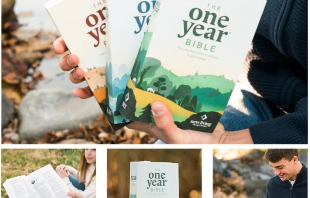 NLT One Year Chronological Study Bible Softcover 9781496456861 Christianbook