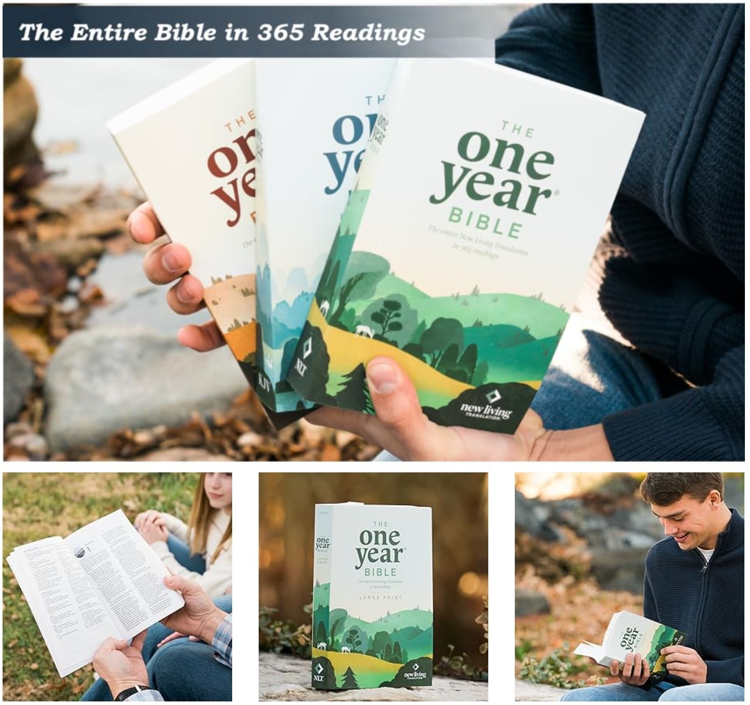NLT One Year Chronological Study Bible Softcover 9781496456861 Christianbook