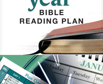 One Year Bible Reading Plan Other Walmart