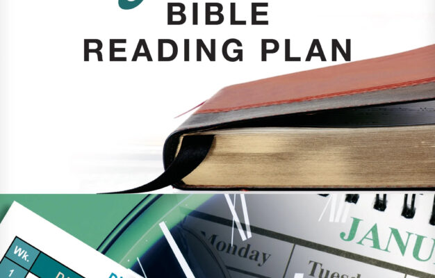 One Year Bible Reading Plan Other Walmart