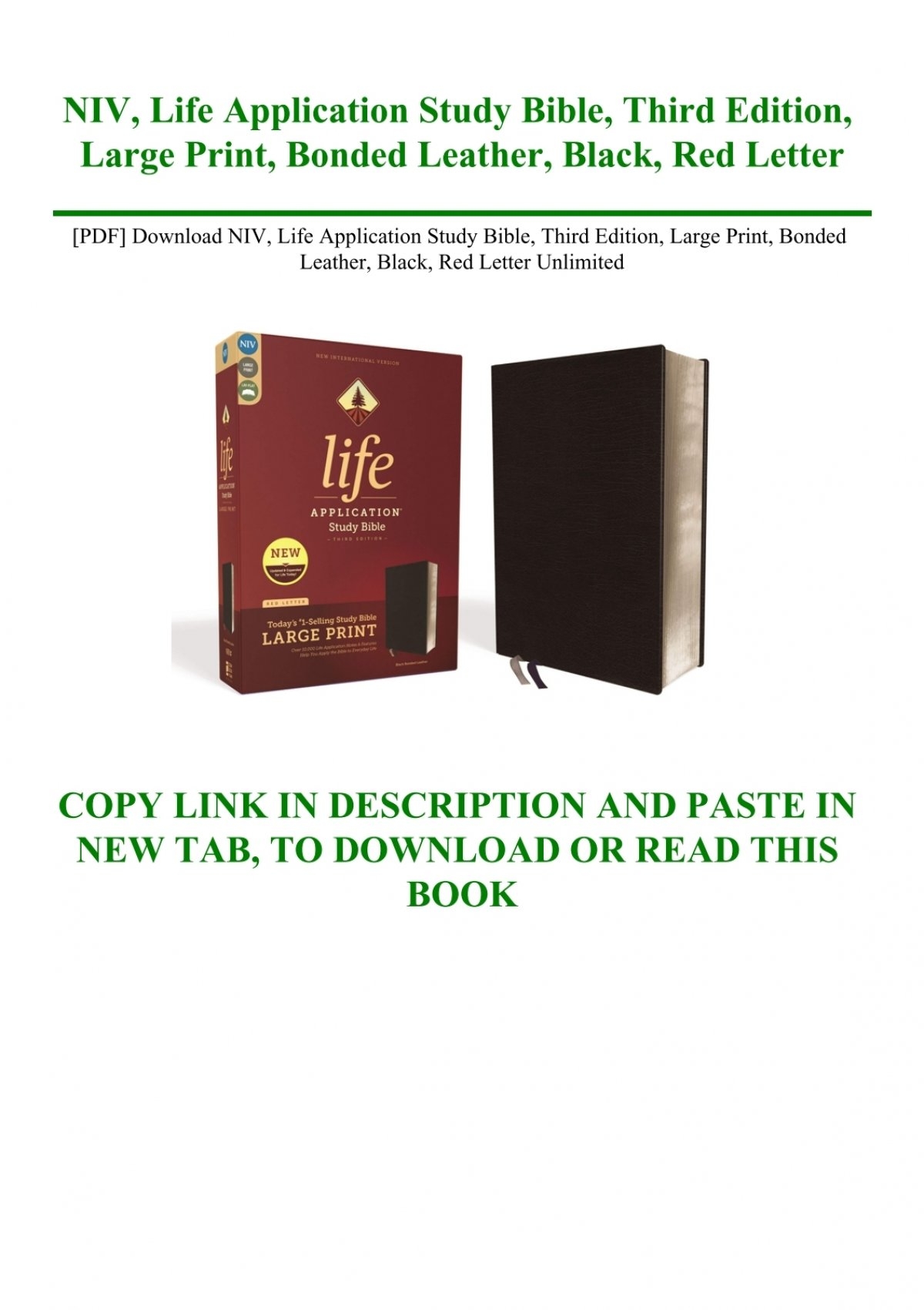 PDF Download NIV Life Application Study Bible Third Edition Large 