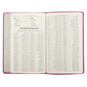 Pink Faux Leather King James Version Gift Edition Bible KJV Bibles