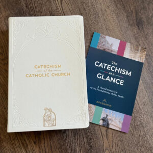 Plan To Read The Catechism In A Year