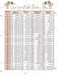 Printable Bible Reading Plan Etsy