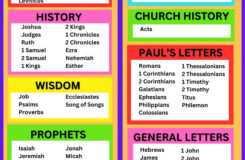 Printable Bible Study Chart The Books Of The Bible Digital Download Etsy