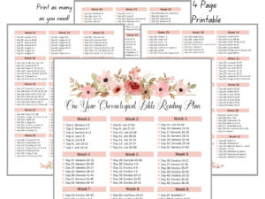 Printable Esv Bible Reading Plan Etsy