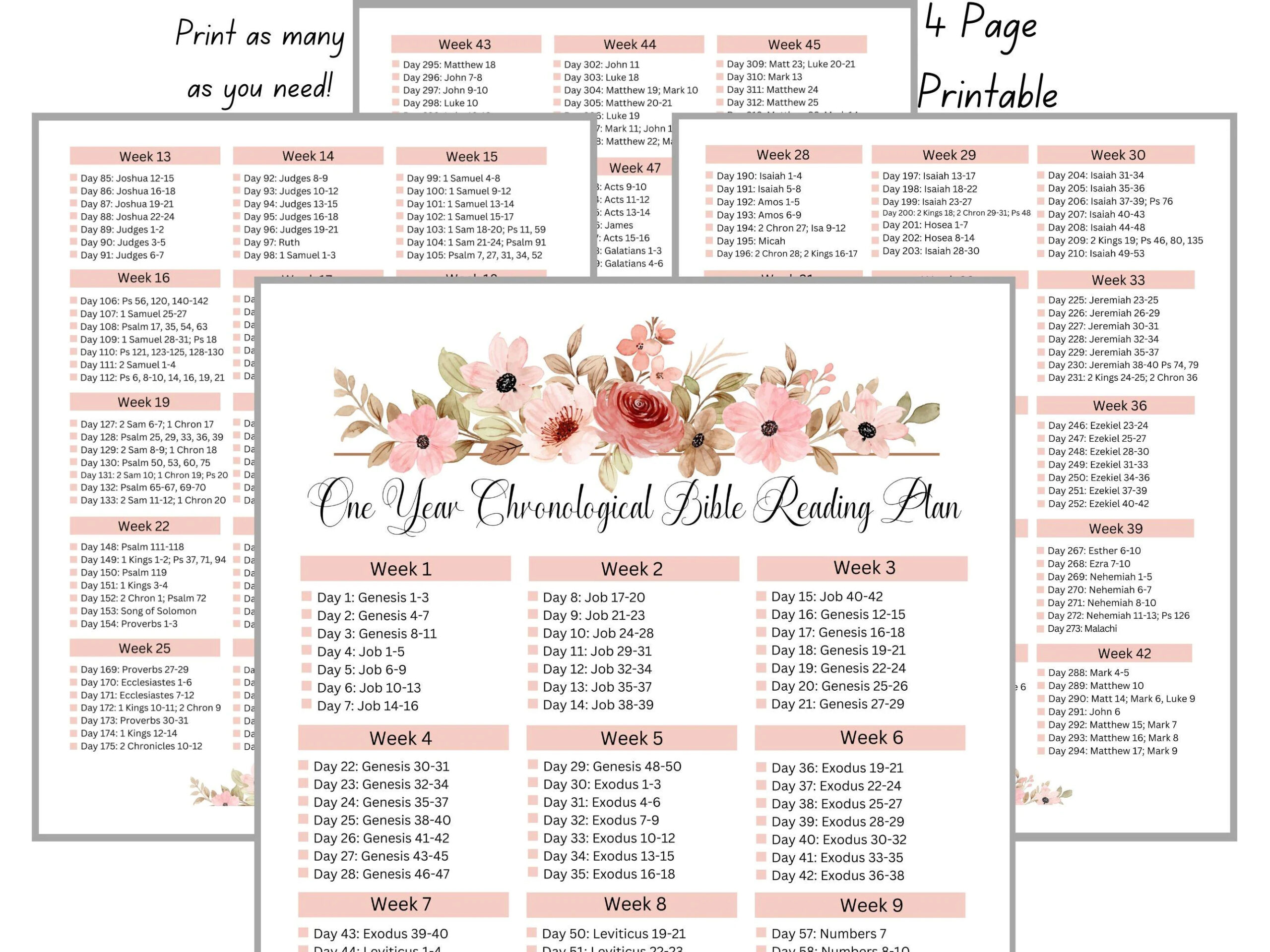 Printable Esv Bible Reading Plan Etsy