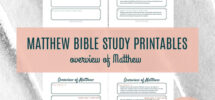 Printable Matthew Bible Study Overview Guide In Depth Bible Study Bible Book Overview Summary Of Matthew PDF Download Etsy