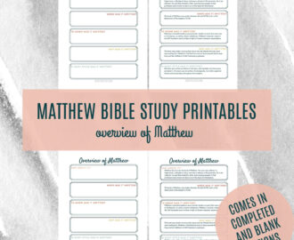 Printable Matthew Bible Study Overview Guide In Depth Bible Study Bible Book Overview Summary Of Matthew PDF Download Etsy