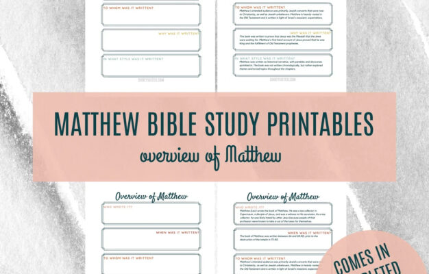 Printable Matthew Bible Study Overview Guide In Depth Bible Study Bible Book Overview Summary Of Matthew PDF Download Etsy
