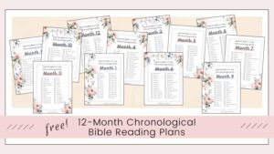 printable monthly chronological bible reading plan ladies drawing nigh