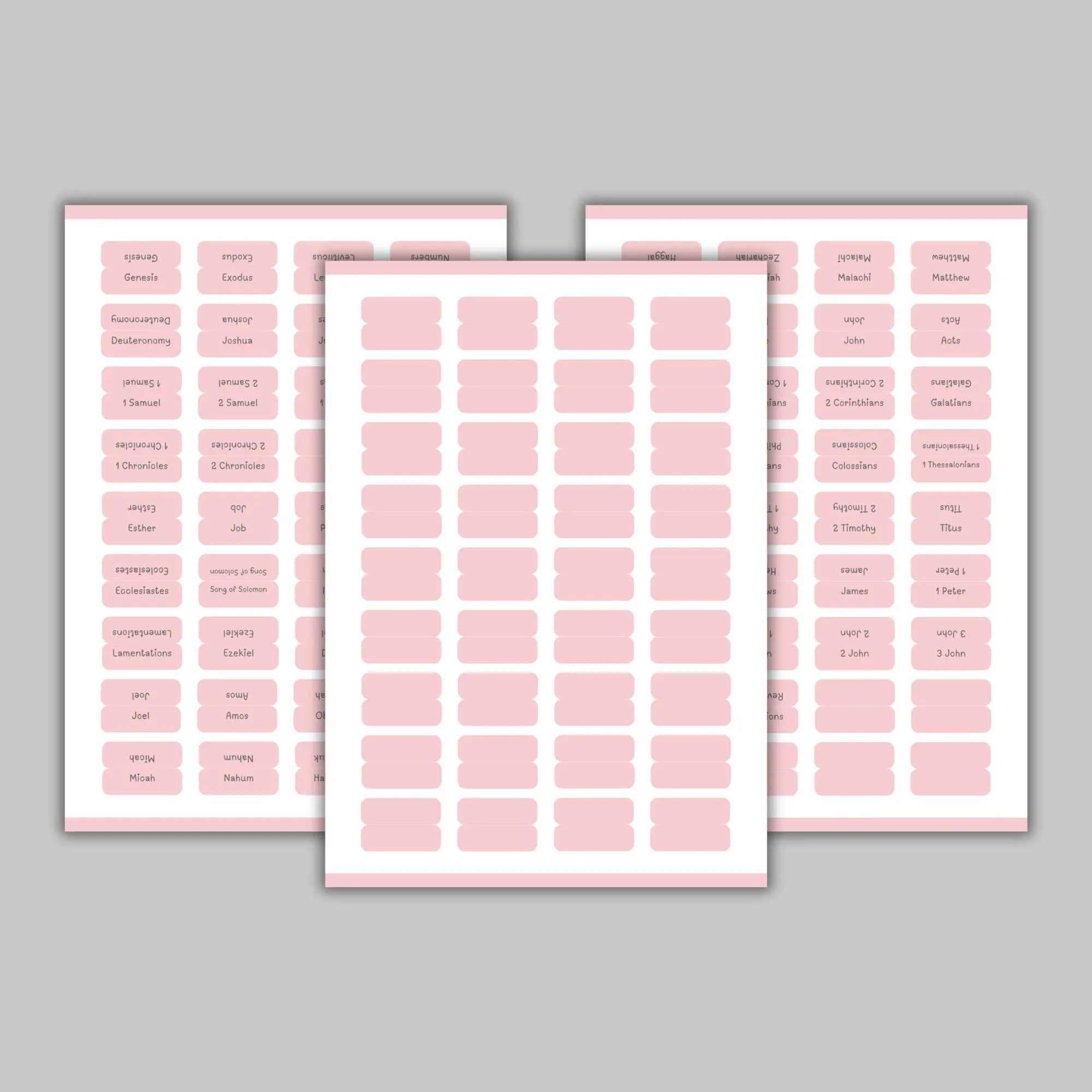 Printable Pink Bible Tabs Bible Journaling 66 Books Of The Bible Free Page Of Blank Tabs DIY Bible Tabs Etsy
