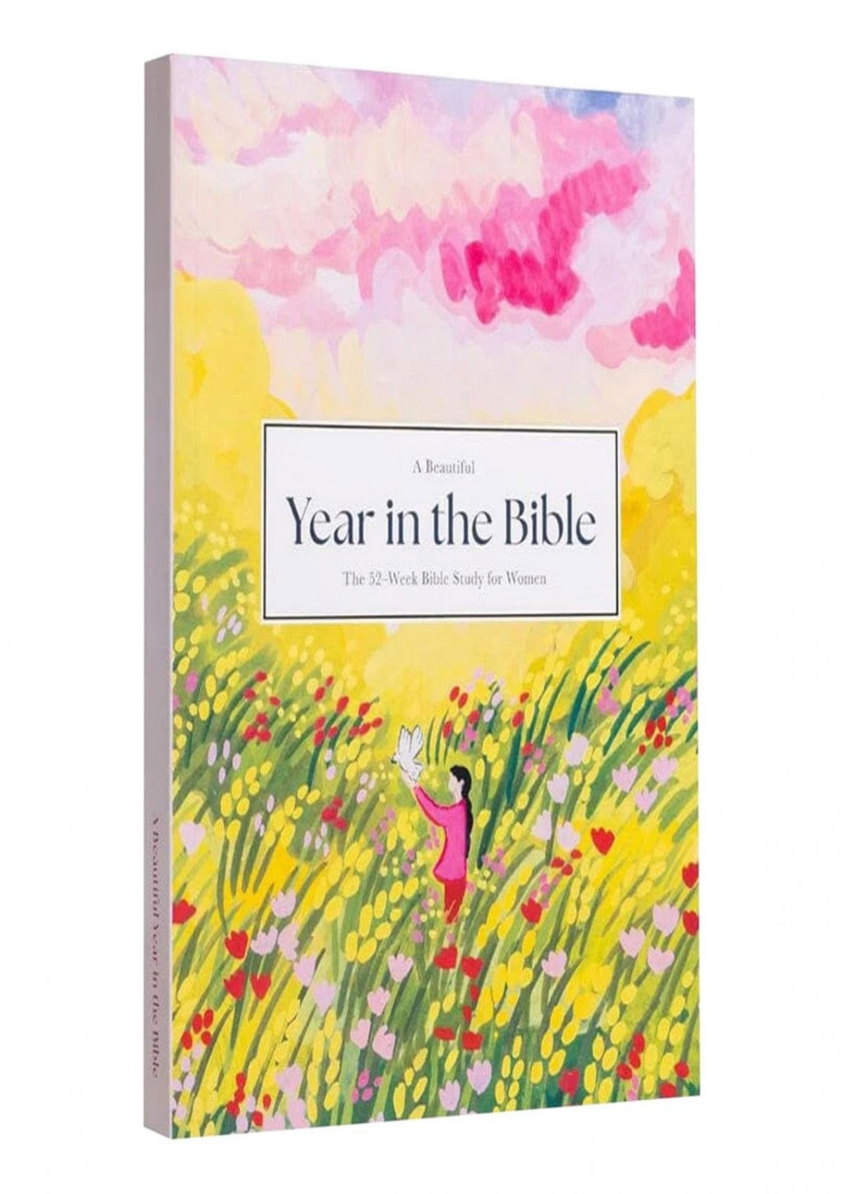 Read EBook PDF A Beautiful Year In The Bible Year In The Bible The 52 Week Bible Study For Women