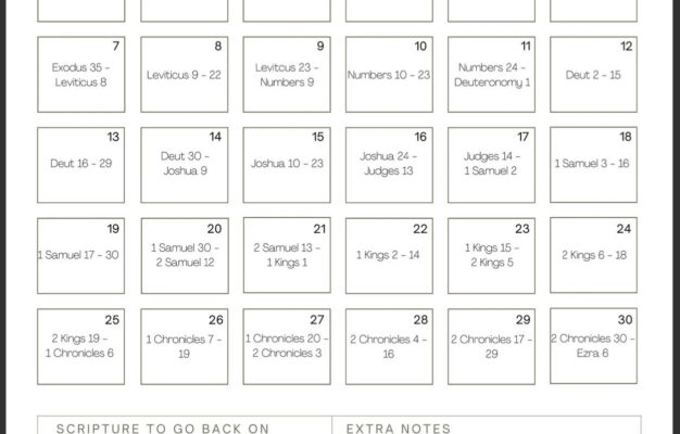 Read The Bible In 90 Days Checklist Plan Etsy