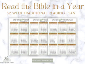 read the bible in a year chart traditional bible reading plan printable bible in a year chart bible reading tracker bible tracker etsy