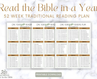 read the bible in a year chart traditional bible reading plan printable bible in a year chart bible reading tracker bible tracker etsy