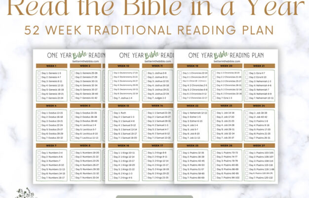 read the bible in a year chart traditional bible reading plan printable bible in a year chart bible reading tracker bible tracker etsy
