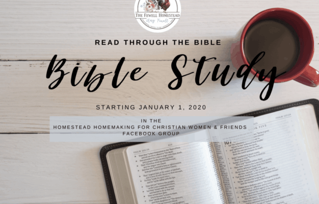 Read The Bible In A Year Homestead Homemaking Amy K Fewell Homesteading For The Kingdom