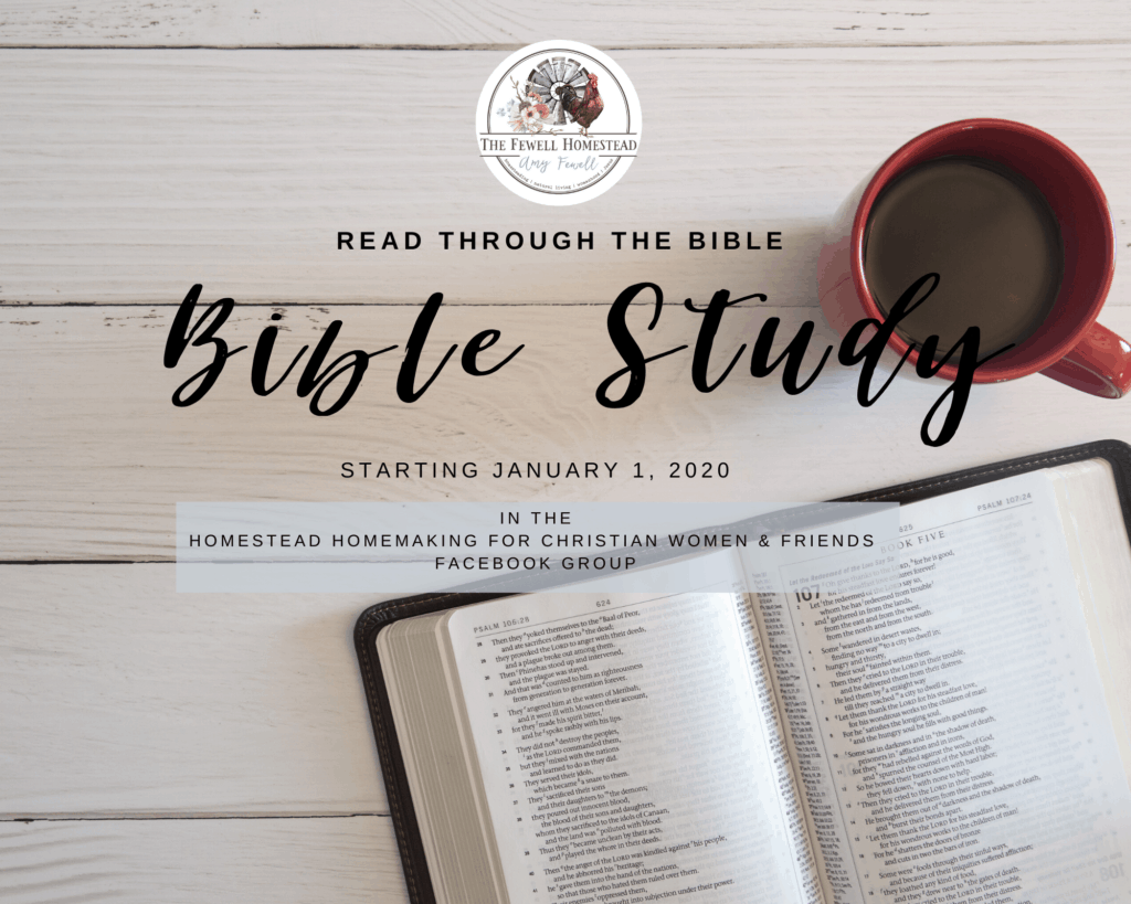 Read The Bible In A Year Homestead Homemaking Amy K Fewell Homesteading For The Kingdom