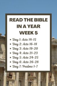 Read The Bible In A Year Week 5 Acts 14 28 And Psalms 1 7 Joyful Moments In Christ