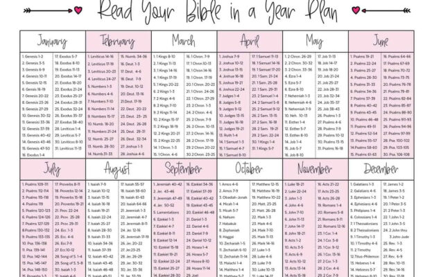 Read Your Bible In A Year Plan The Fervent Mama