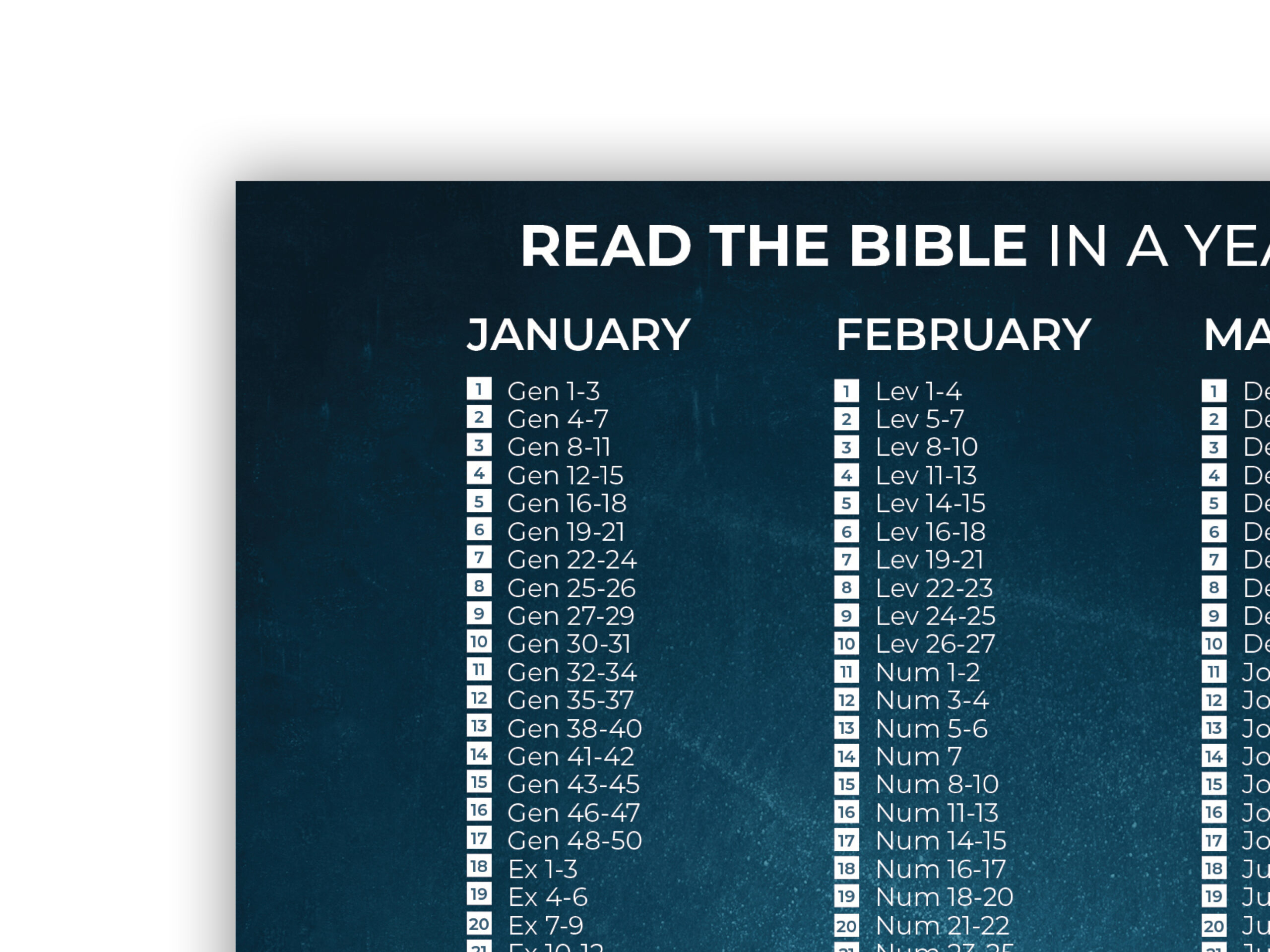 Read Your Bible Through In A Year The Light Print Company