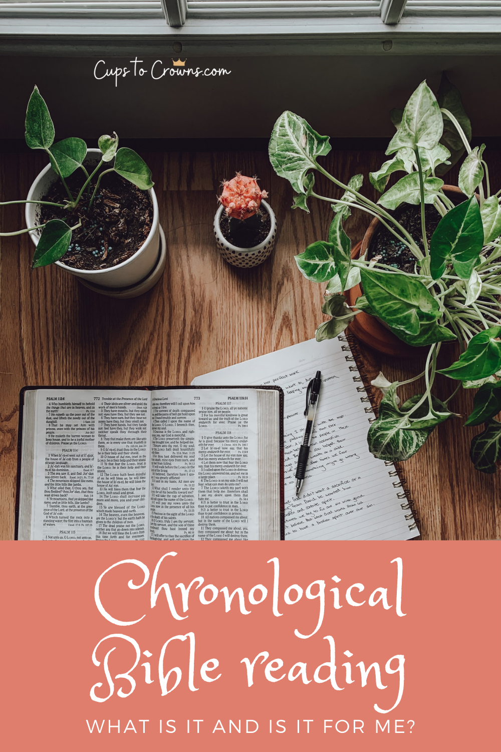 Reading The Bible In Chronological Order Cups To Crowns