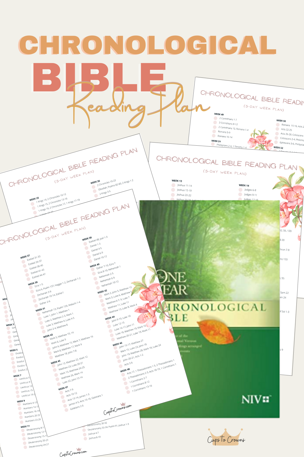 Reading The Bible In Chronological Order Cups To Crowns