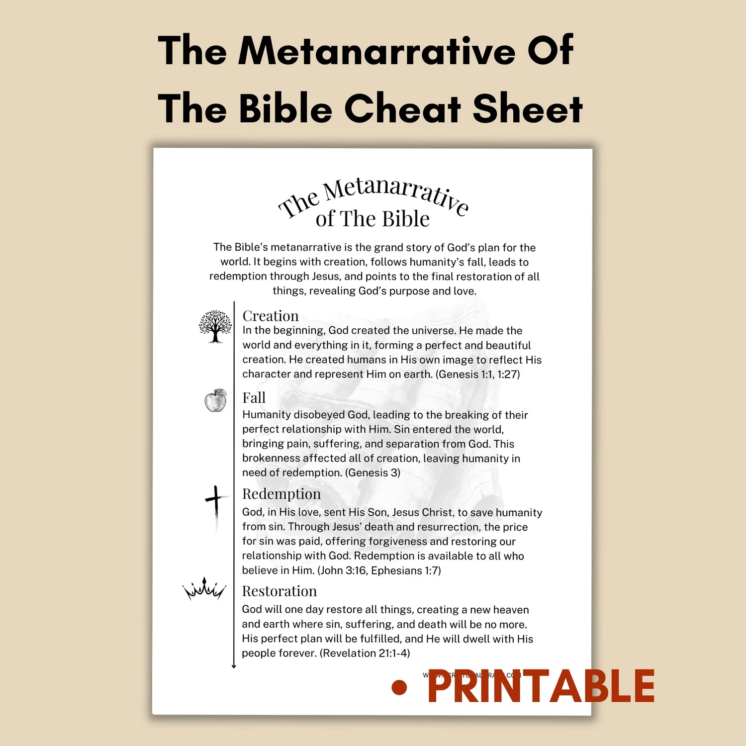 Scriptural Grace Printable Bible Study Guide Chronological Studies Payhip