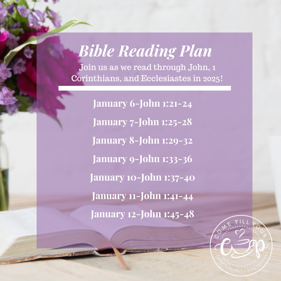 Printable Daily Bible Reading Plan 2025