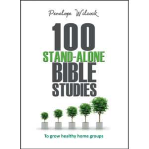 Seamless Bible Study Book With Video Access Paperback Walmart