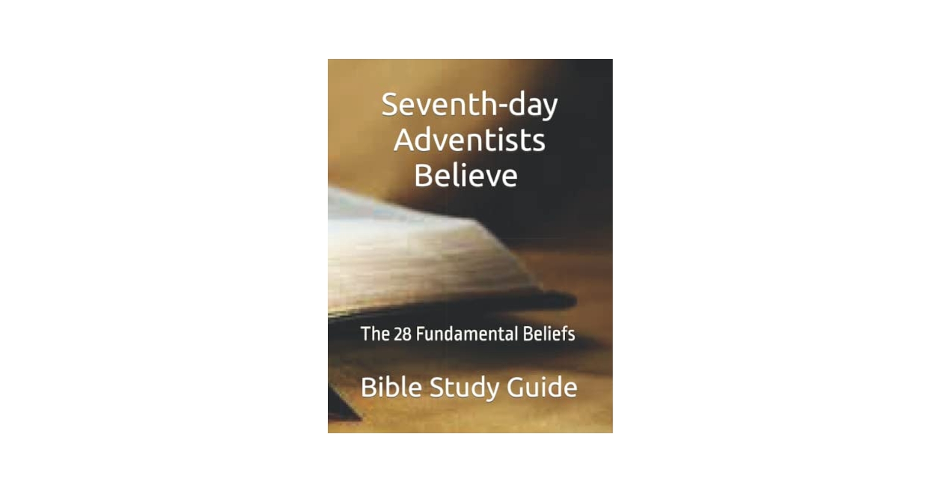 Seventh day Adventists Believe Bible Study Guide The 28 Fundamental Beliefs 28 Fundamental Principles Of The Seventh day Adventist Church Religious Fundamental Principles And Bible Study Guide Message Of Hope 9798805402259 Amazon Books
