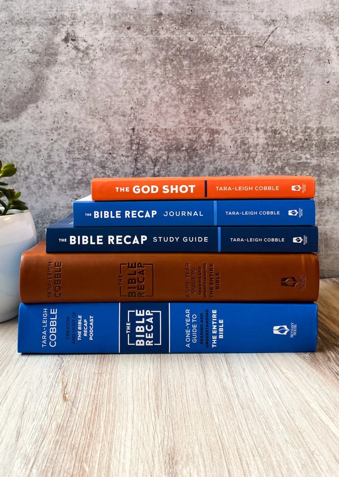 Printable Bible Recap 2025