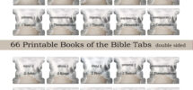 Tabs For Notebooks EssexWares Pink Purple Flowers Bible Tabs For Old And New Testament Bible Tabs For Women