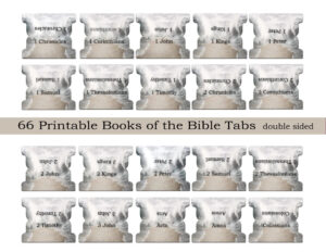 Tabs For Notebooks EssexWares Pink Purple Flowers Bible Tabs For Old And New Testament Bible Tabs For Women
