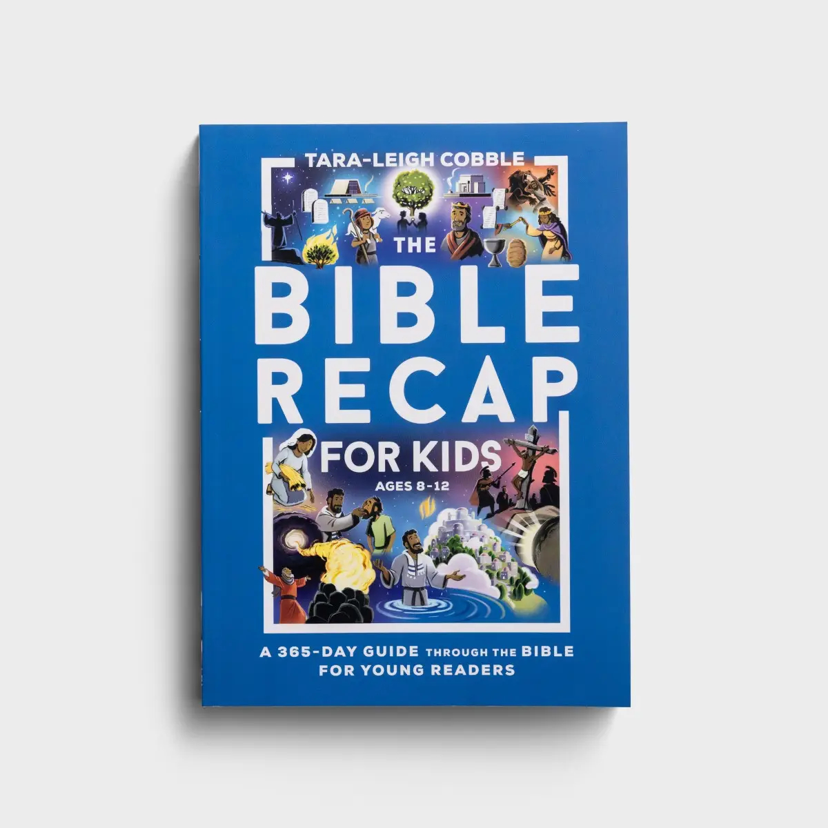 Tara Leigh Cobble The Bible Recap For Kids DaySpring