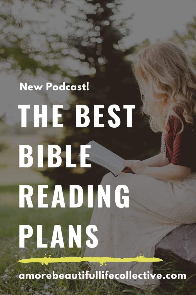 The Best Bible Reading Plans A More Beautiful Life Collective
